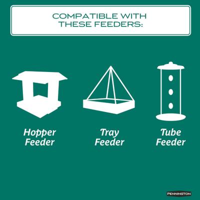 Show full view: Pennington Select Safflower Seed Wild Bird Food, 15-lb bag slide 5 of 10