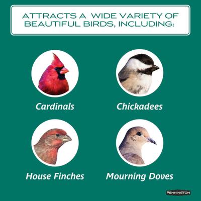 Show full view: Pennington Select Safflower Seed Wild Bird Food, 15-lb bag slide 4 of 10