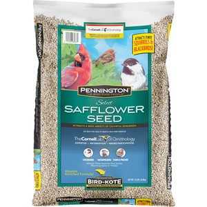 Pennington Select Safflower Seed Wild Bird Food, 15-lb bag