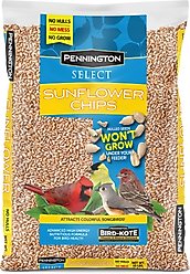 Pennington Select Sunflower Chips Wild Bird Food, 15-lb bag