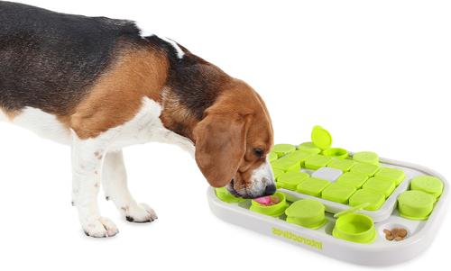 Show full view: allforpaws Interactives Dog Sokudo Treat Dispensing Dog Puzzle Toy, Green slide 9 of 11