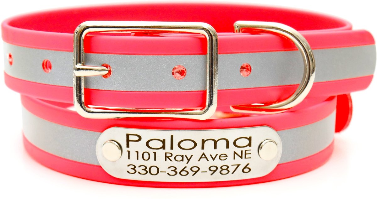 Mimi Green Waterproof Reflective with Riveted Name Plate Dog Collar
