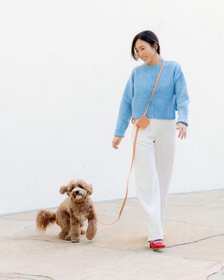 Show full view: Sunny Tails Cloud Lite Waterproof Metal No-Pull Dog Harness, Chai Brown, Medium: 20 to 29-in chest slide 2 of 7