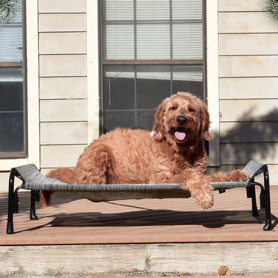 Show full view: Veehoo Cooling Elevated Dog Bed with Guardrail & Headrest, Black Sliver, Medium slide 7 of 11