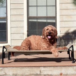 Veehoo Cooling Elevated Dog Bed with Guardrail & Headrest, Beige Coffee, Medium slide 2 of 9
