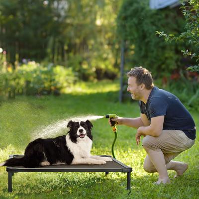 Show full view: Veehoo Chew-Proof Black Metal Frame Elevated Dog Bed, Brown, Medium slide 8 of 10