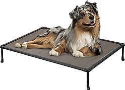 Veehoo Chew-Proof Black Metal Frame Elevated Dog Bed, Brown, Medium