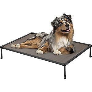 Veehoo Chew-Proof Black Metal Frame Elevated Dog Bed, Brown, Medium
