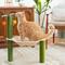 Show in main carousel: Kitty City Palm Leaf Sisal Post Cat Scratcher with Hammock, Green slide 8 of 11