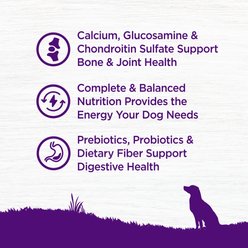 Wellness Complete Health Senior Deboned Chicken & Barley Recipe Dry Dog Food, 30-lb bag slide 2 of 9