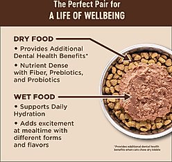 Wellness CORE Digestive Health Wholesome Grains Chicken & Rice Recipe Dry Cat Food, 11-lb bag slide 2 of 7