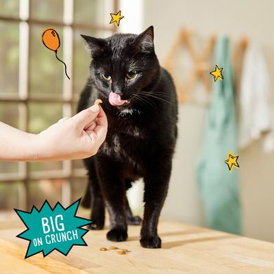 Show full view: Tiny Tiger Crunchy Bunch Fins of Fury Seafood Flavor Cat Treats, 20-oz bag slide 6 of 10