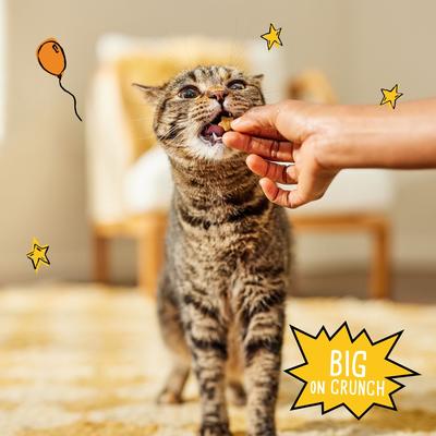 Show full view: Tiny Tiger Crunchy Bunch Chicken Cannonball Chicken Flavor Cat Treats, 20-oz bag slide 6 of 10