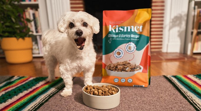 Kismet Salmon & Brown Rice Recipe with Freeze-Dried Nugs Dry Dog Food