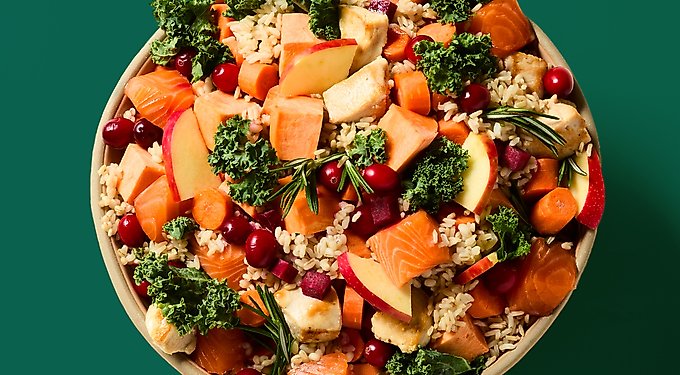 Kismet Salmon & Brown Rice Recipe with Freeze-Dried Nugs Dry Dog Food