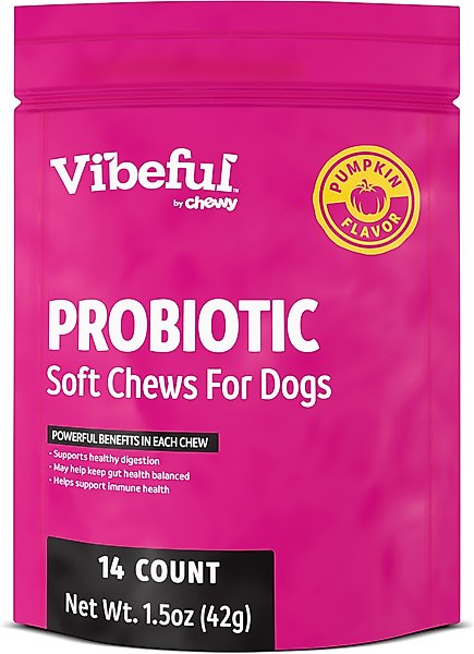 Show full view: Vibeful Probiotic Bites Pumpkin Flavored Soft Chews Digestive Supplement for Dogs, 14 count slide 1 of 8