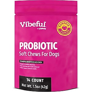 Vibeful Probiotic Bites Pumpkin Flavored Soft Chews Digestive Supplement for Dogs, 14 count