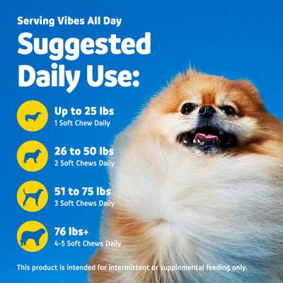 Show full view: Vibeful 10-in-1 Multivitamin Bites Peanut Butter Flavored Soft Chews Supplement for Dogs, 90 count, bundle of 2 slide 7 of 10
