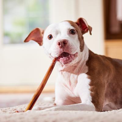 Show full view: Bones & Chews Standard Bully Stick 12" Dog Treats, 1 count slide 6 of 10