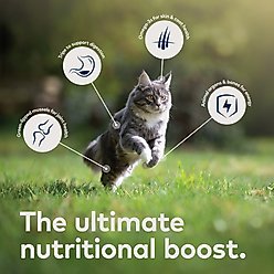 ZIWI Peak Venison, Chicken, Lamb Variety Pack Grain-Free Pate Canned Food, 3-oz can, case of 6 + Zenison, Beef, Lamb Variety Pack Grain-Free Pate Canned Cat Food, 3-oz can, case of 6 slide 2 of 9