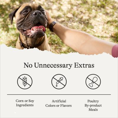 Show full view: American Journey Active Life Chicken & Rice Flavor Large Biscuit Dog Treats, 15-lb box, bundle of 2 slide 8 of 10