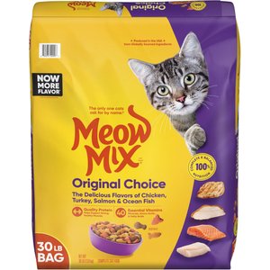 Purina ONE Tender Selects Blend with Real Salmon Dry Cat Food