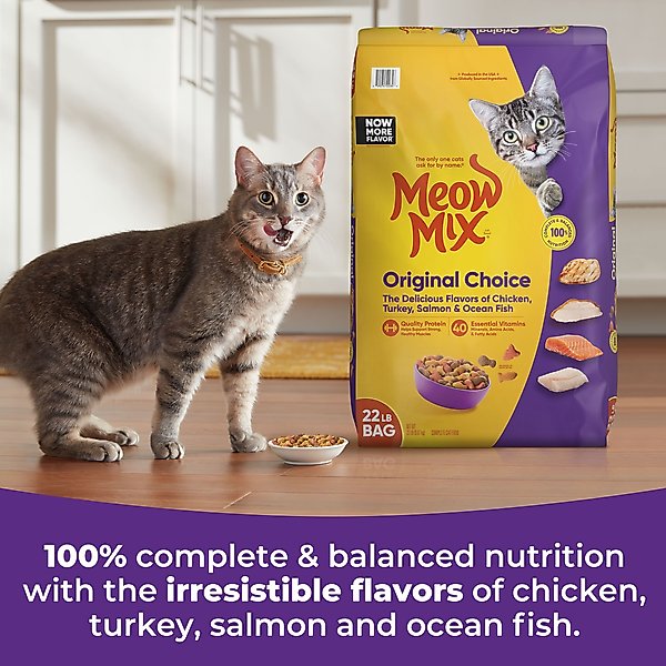 Meow Mix Original Choice Dry Cat Food