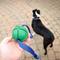 Show in main carousel: PetKORE FloTek Tough Tug Dog Toy, Green, Medium slide 3 of 10