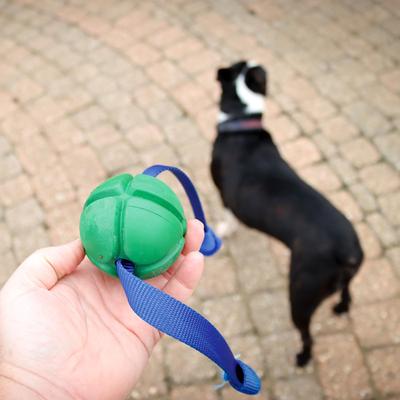 Show full view: PetKORE FloTek Tough Tug Dog Toy, Green, Medium slide 3 of 10