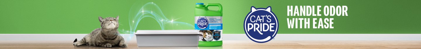 Cat's Pride
