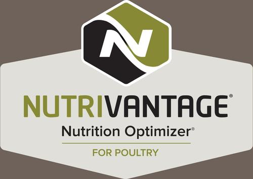 Show full view: Kent / Blue Seal Home Fresh Organic Chicken 16% Protein Layer Pellet Poultry Food, 40-lb bag slide 6 of 9