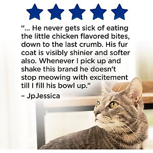 Purina Cat Chow Complete with Real Chicken & Vitamins Dry Cat Food, 20-lb bag