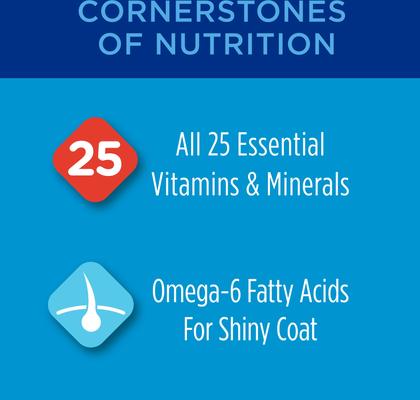 Cat Chow Complete with Chicken & Vitamins Dry Cat Food