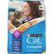 Show in main carousel: Purina Cat Chow Complete with Real Chicken & Vitamins Dry Cat Food, 20-lb bag slide 1 of 12