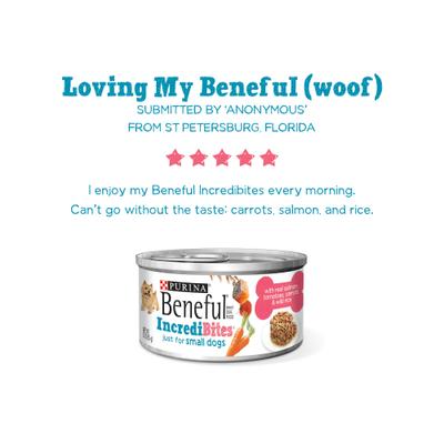 Show full view: Purina Beneful IncrediBites with Real Salmon & Gravy Small Breed Wet Dog Food, 3-oz, case of 24 slide 8 of 12