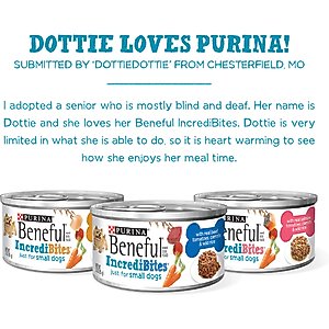 Purina Beneful IncrediBites Adult Variety Pack Chicken Beef & Salmon Small Breed Wet Dog Food, 3-oz can, case of 30