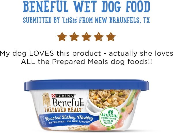Purina Beneful Freshly Prepared Meals Roasted Turkey Medley with Wild Rice, Peas & Barley Wet Dog Food