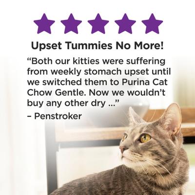 Show full view: Cat Chow Sensitive Stomach Gentle Dry Cat Food, 26-lb bundle  slide 9 of 13