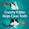 Show in main carousel: Friskies Party Mix Meow Luau Crunch Flavor Crunchy Cat Treats, 6-oz bag slide 6 of 11