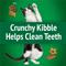 Show in main carousel: Friskies Party Mix Picnic Crunch Flavor Crunchy Cat Treats, 6-oz bag slide 6 of 11