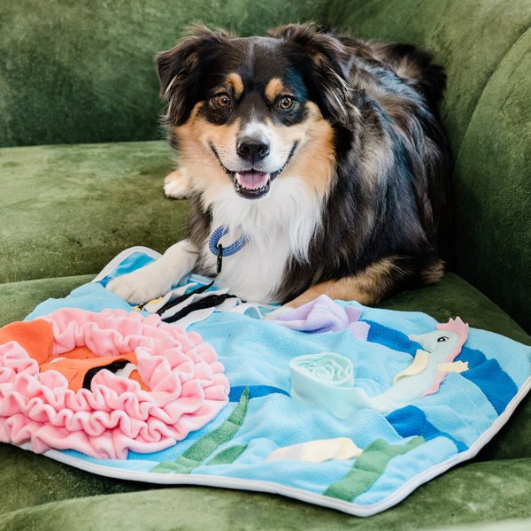 Injoya Under The Sea Cat & Dog Snuffle Mat, Blue, Medium