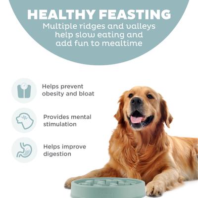 Show full view: Outward Hound Fun Feeder Slo Bowl Non-Skid Plastic Slow Feeder Dog Bowl, Sage, Medium: 4-cup slide 2 of 8