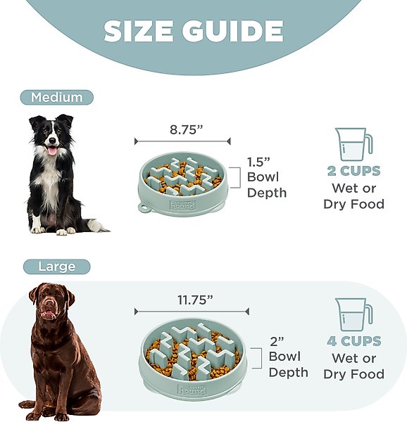 Outward Hound Fun Feeder Slo Bowl Non-Skid Plastic Slow Feeder Dog Bowl, Sage