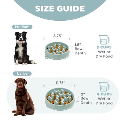 Show full view: Outward Hound Fun Feeder Slo Bowl Non-Skid Plastic Slow Feeder Dog Bowl, Sage, Small: 2-cup slide 6 of 9