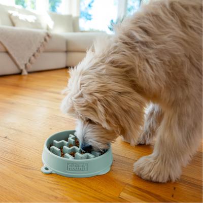 Show full view: Outward Hound Fun Feeder Slo Bowl Non-Skid Plastic Slow Feeder Dog Bowl, Sage, Small: 2-cup slide 7 of 9