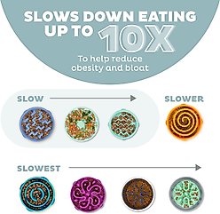 Outward Hound Fun Feeder Slo Bowl Non-Skid Plastic Slow Feeder Dog Bowl, Sage, Small: 2-cup slide 2 of 6