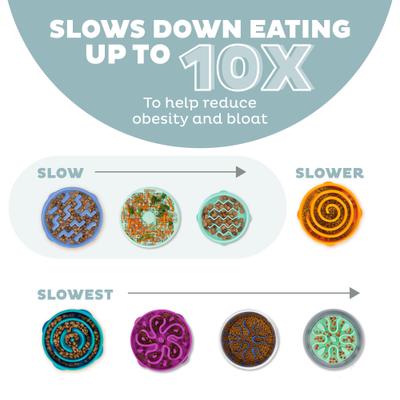 Show full view: Outward Hound Fun Feeder Slo Bowl Non-Skid Plastic Slow Feeder Dog Bowl, Sage, Small: 2-cup slide 5 of 9