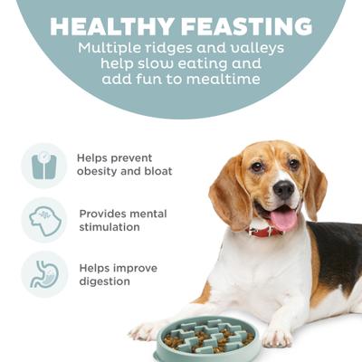 Show full view: Outward Hound Fun Feeder Slo Bowl Non-Skid Plastic Slow Feeder Dog Bowl, Sage, Small: 2-cup slide 3 of 9