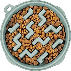 Outward Hound Fun Feeder Slo Bowl Non-Skid Plastic Slow Feeder Dog Bowl, Sage, Small: 2-cup