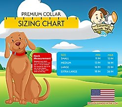 Country Brook Petz Premium Spirit of '76 Dog Collar, Large: 16 to 22-in neck, 1-in wide slide 2 of 7